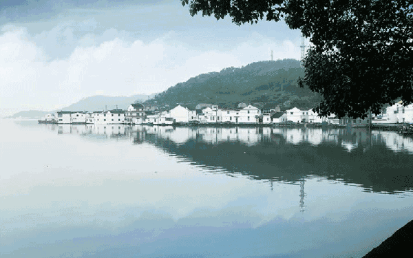 湖水,船只,芦 苇,还有那黄灿灿的油菜花,映衬着白墙黑瓦和远 处的群山