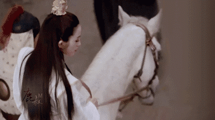 428_240 gif 动态图 动图