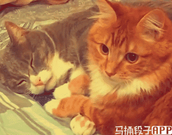 今日爆笑gif:你们要的健身妹纸,不用谢!