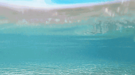 450_253