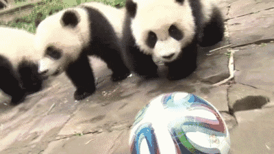 【抢位价】￥1099!春色九寨 好玩四川 双飞六天