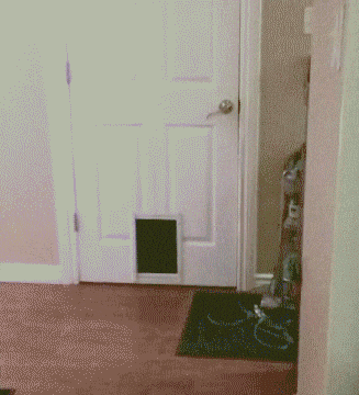 搞笑gif囧图丨别人家的足底按摩师,我家的.