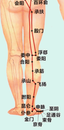 7,疏通手指未端神经( 手指麻木严重者十指指腹放血) 腿部经络调理