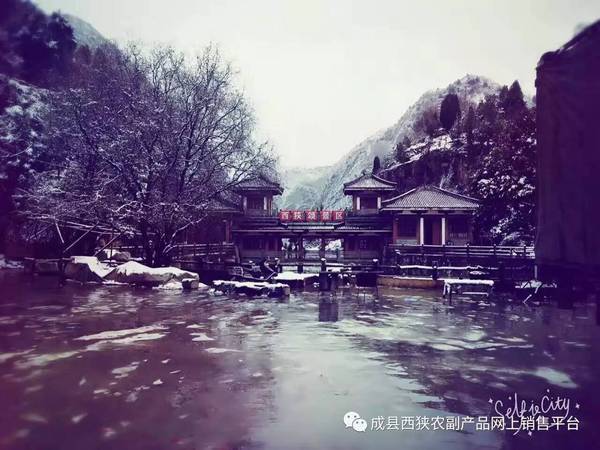 陇南有多少人口_甘肃陇南两当县人口(2)