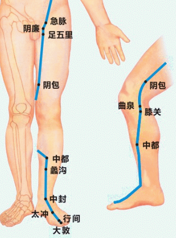 生物电疗