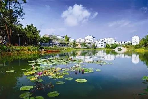 忠良村人口_忠良书院(3)