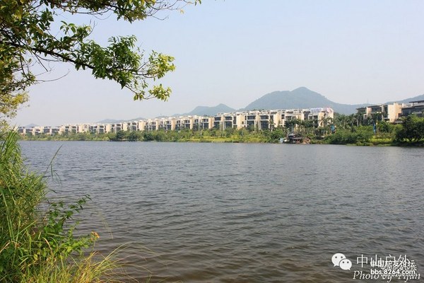 4月4日五桂山秀丽湖山谷秘境寻幽,马岭水库尾休闲泡茶