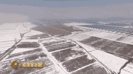 在2012年的设施农业规划中申请建设了1700亩,546个温室大棚