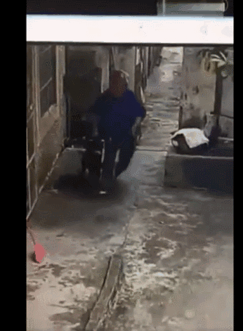 偷狗一时爽,被抓毁一生