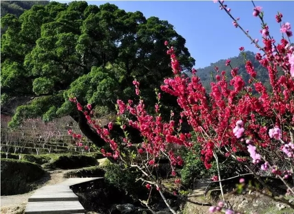 永春县北溪村 永春北溪村,北溪桃花谷位于永春县岵山镇西南部,占地3.