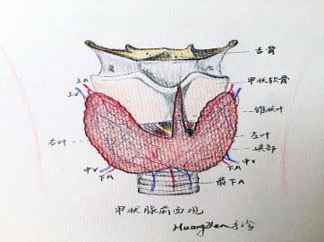 电脑上wap网:美如蝴蝶的甲状腺:认识你真好-健康频道-手机搜狐