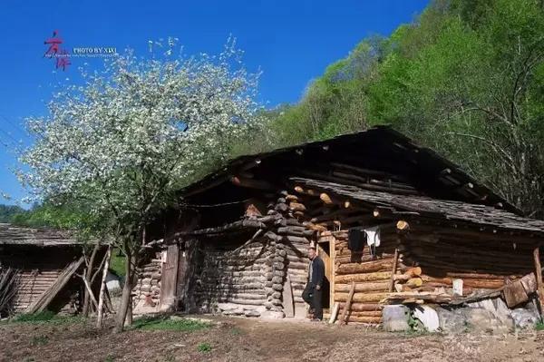 摄影/重庆巴墨 方斗人就地取材,用大巴山里的树木和岩石,建成了垛木房