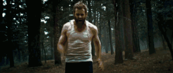 a52idm5983461621296.gif