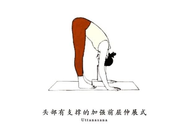 2.4 头部有支撑的加强前屈伸展式(uttanasana) 保持1分钟