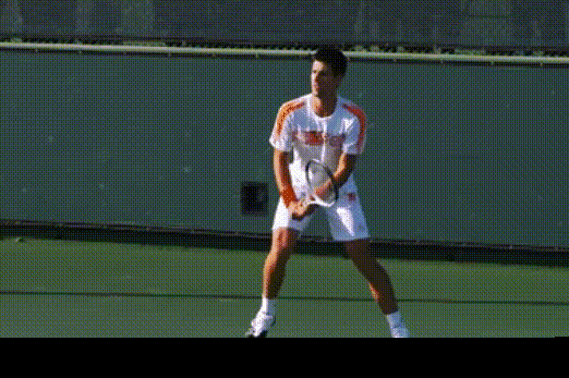 德约科维奇底线与发球技术全方位解毒,不可错过(高清gif)