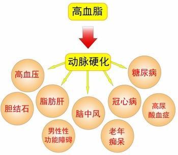 高血脂验方来了,已经治好无数三高人群的病人了!
