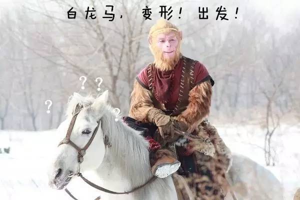 电脑上wap网:白龙马!变形!出发!-汽车频道-手机搜狐