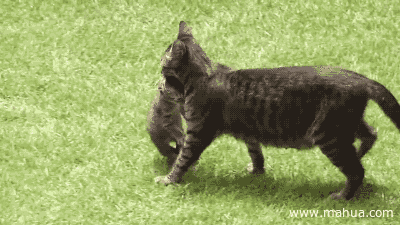 我疯起来连自己都敢打,就问你怕不怕