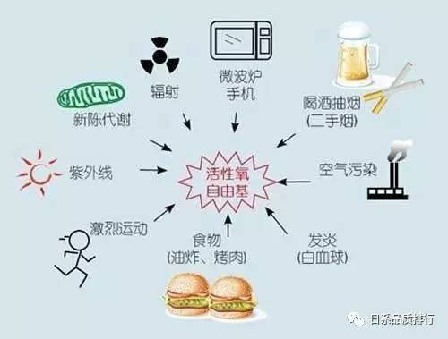 a4hhz59572966471204.jpeg