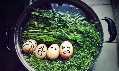 三月三,地菜子煮鸡蛋,带你回味妈妈的味道