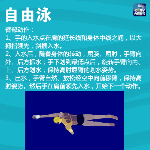 自己的脸朝两边摇头呼吸,而手也顺着头向前摆动,脚则是像水波一样波动