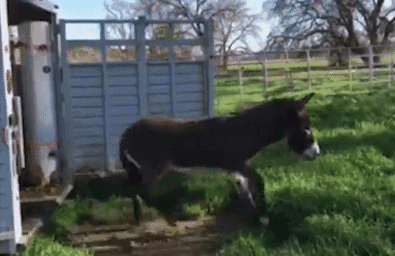 姑娘,我家墙可没刷,脏了衣服别怪我-笑话频道-手机搜狐