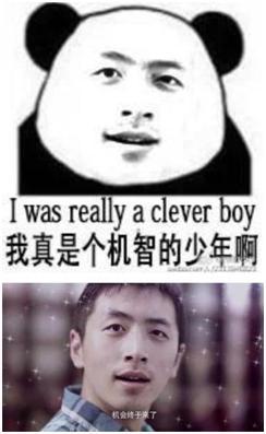来自网剧《万万没想到》中的王大锤