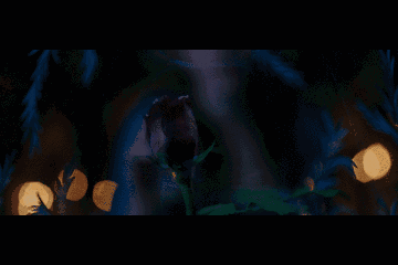 《美女与野兽 》最简单的情话,是关于我爱你!