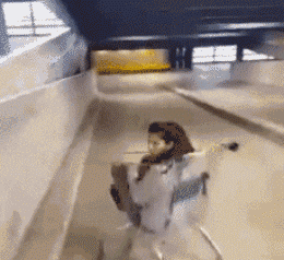 岛国爱情动作片看太多的缘故吧?