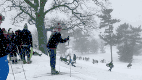 其中一条是冬天偷食堂的餐盘去libeslope滑雪