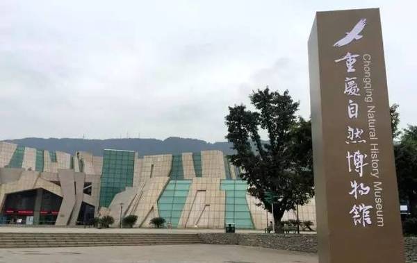 北碚区 重庆自然博物馆