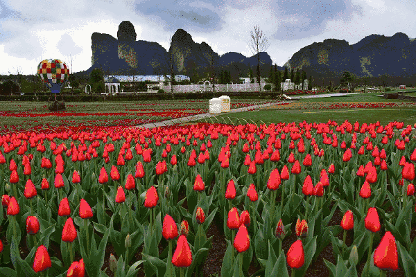 权威发布|三月女神节,江西最全景区免票信息大放送!