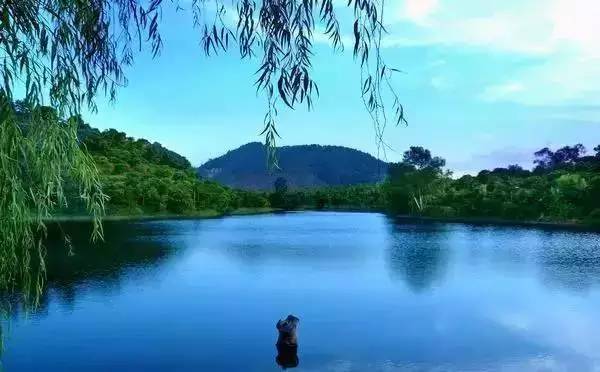 平湖市有多少人口_平湖市地图