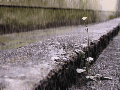 冷空气 雨雨雨!再过两天,东莞人最讨厌的天气要来了