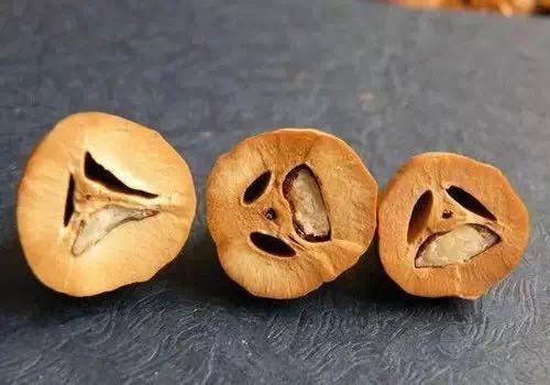 如何辨别橄榄核原料的好坏呢,切开仔细研究!