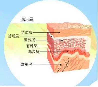 认真对待脸部角质层,做好安全防护抗衰老