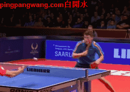 乒乓网