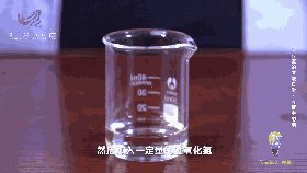 实验室的魔法日常第五季 第5集 海带中的碘