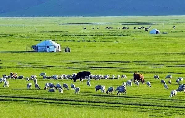 内蒙古原住人口多少人_内蒙古人图片(2)