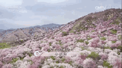 周末欣赏 - 航拍中国 aerial china