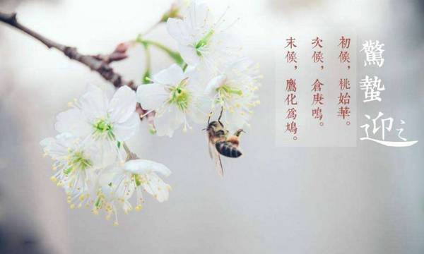 「惊蛰」始,春雷初响,惊醒蛰伏万物