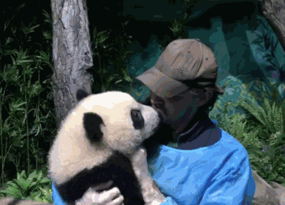 点开后全程痴汉笑…我心已被宇宙第一网红天团圈粉套牢!