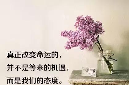 a640bt9655810693542.jpg