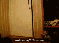 爆笑gif:这是上学前,向父母要零花钱的你!