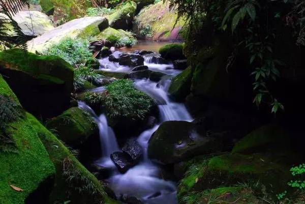 广安最新gdp_广安最新城市规划图(3)