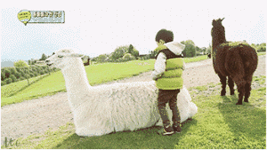 【好久不见】韩版《爸爸去哪儿》的金民律,现在长这样