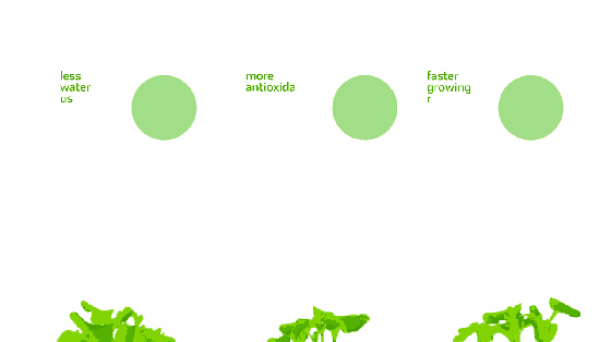 3月份种什么蔬菜,你知道吗?