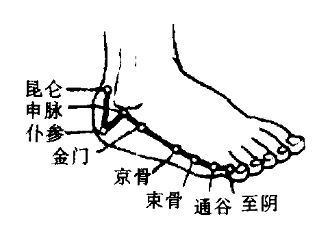 5, 臑俞,天宗及肩贞穴构成的三角区,自己或家人可在肩胛骨外侧的臑俞