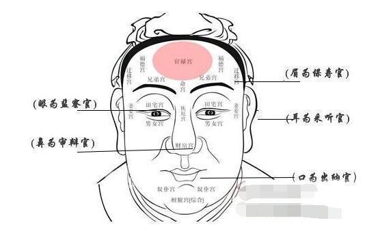 早年会发际于一时,终久会败落; 龙宫低黑,嗣续难得而愚眛;阴阳眼亮