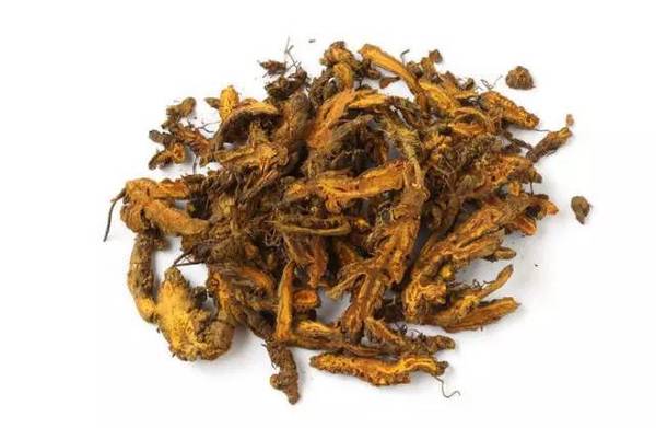 黄连杨梅猜成语_杨梅演员